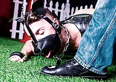 Gay puppy love with a double facial at the end