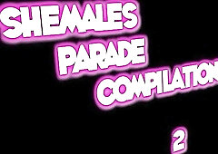 Compilation of shemale babes and teen trannies using sex toys