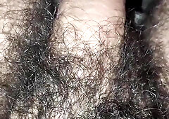 increasing in size trouser snake