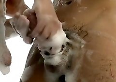 Exotic male in horny gay adult clip