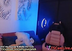 Perfect Hot Lovense HeShe ZafiroHottBitch on Webcam
