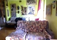 porca peruviana con italiano