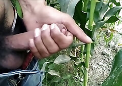 Indian cumshot, solo, masturbation