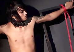 Asia Dominatrix BDSM BIzarr Sex Dungeon Next Round by Femdom Sex