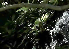 Noah Driver Toying Ass