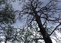 Warm Outdoor Twink Blowjob And Fun