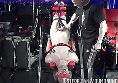 Trophyboy Upside Down