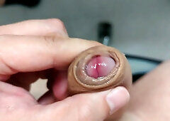 Wank Off to an Alpha Sir's Fuckpole Fellating Dream NOW