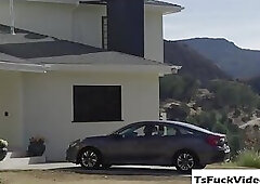 Hot T Nikki Vicious and dude fulfills