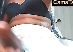 Huge black cock of shemale