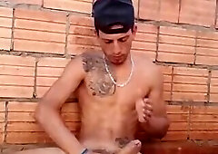 Lobooo