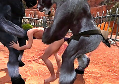 Dual Foray 1 3 DIMENSIONAL