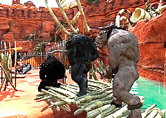 Dual Foray 1 3 DIMENSIONAL