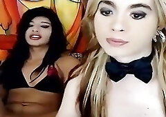 Two nice-looking sheboy babes Playing together