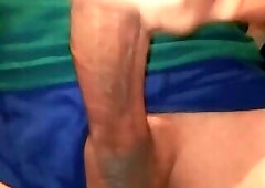 Front and back of a big dick, jerked off until creamy