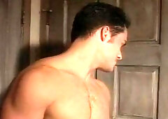 Falcon Studios: Discovering New Wonders in Town