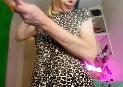 Dutch, close up, fledgling