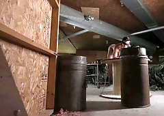 Thick young slut Collin Lust dominated by master Bo Sinn