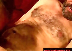 Bearded straight bear gets a facial