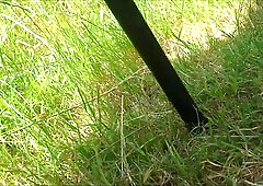 Cruising in a mini skirt 2