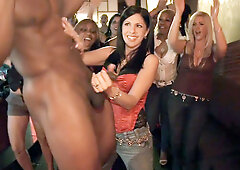 Crazy girls are ready to prick sucking