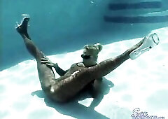 leopardshred underwater