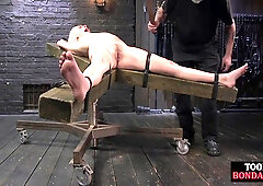 BDSM whipped sub with hairypussy tormented by master