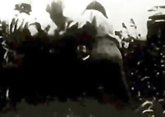 The Precious World Of Vintage Pornography, Threesomes