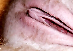 FTM Vulva Fellow Joy Button Slow Movability Solo Close Ups