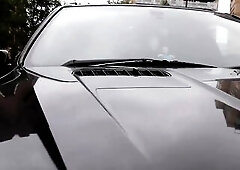 Fun For Excited Fattie - Estella Bathory