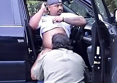 Bear Sucks Cock Outdoors