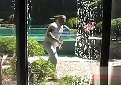Muscle stud washes window 1