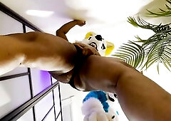 FURRIES IN HEAT MATING , CUM INSIDE