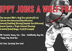 [Audio] Puppy-Guy Joins a Teddy Fraternity