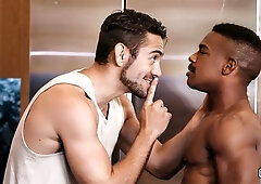 Insatiable with anal and interracial (Dante Colle, Adrian Hart)