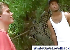 Black gay gets money for blowjob