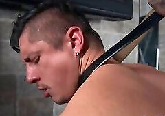 Submissive stud in the sling barebacked by tattooed hunk
