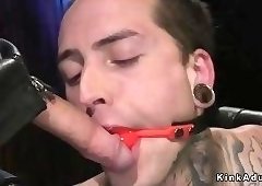 Tranny makes tattooed slave worship
