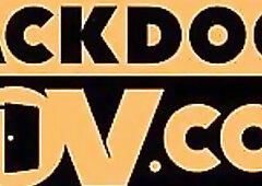 Life as a criminal can be tricky, trying to show your loyalty to Luna Corazon proves harder than u thought. U're a cop but a bent one... Luna doe