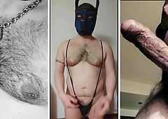 Hooded Otter - Vlog ask me anything