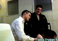 Trystan Bull patient stud