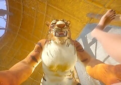 Lustful, gay furry pov, pov