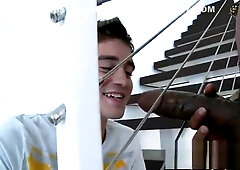 Isso vai doer muito - No PAIN no GAIN