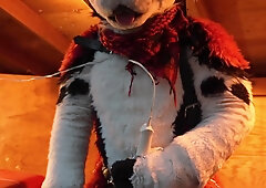 Husky Fursuiter Suspension Jerkoff