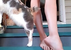 Solo masturbation and the foot fetish