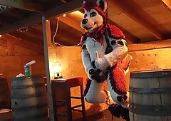 Husky Fursuiter Suspension Jerkoff