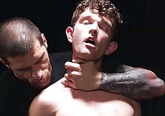 Stallions get bored easily they need new holes