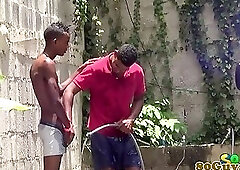 African barebackers in outdoor session