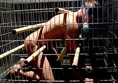 Caged male is about to receive a rough anal punishment