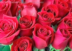 Bangladeshi, fucked by, boyfriends